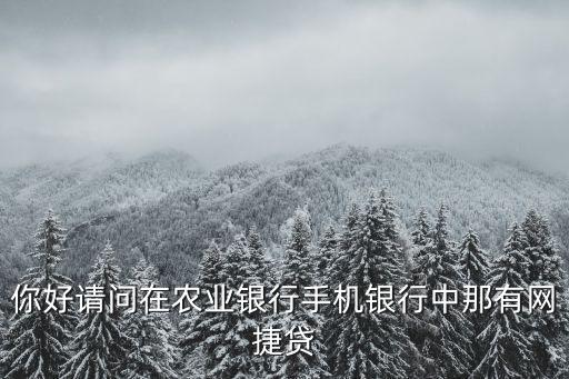 你好請(qǐng)問在農(nóng)業(yè)銀行手機(jī)銀行中那有網(wǎng)捷貸
