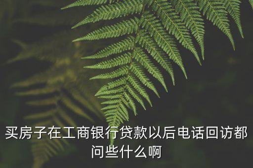 貸款來電會問什么，我在及貸貸款資料審核通過了接下來電話審核的話一般會問到什么