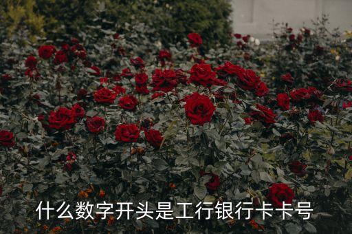 建行的卡什么開頭，建行普通信用卡是什么開頭的