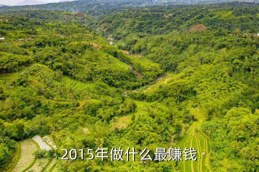 現(xiàn)在做什么職業(yè)賺錢2015，2015年什么行業(yè)最吃香