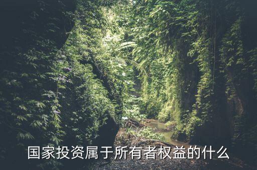 國家投資屬于所有者權(quán)益的什么