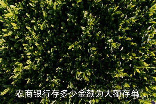 農商銀行存多少金額為大額存單
