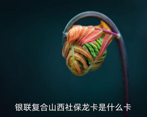 銀聯(lián)復(fù)合山西社保龍卡是什么卡