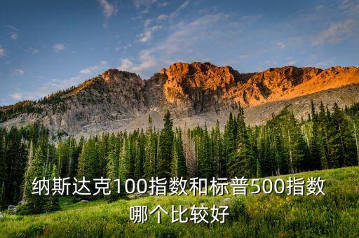納斯達克100指數(shù)和標普500指數(shù)哪個比較好
