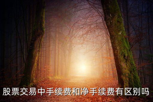 股票凈手續(xù)費(fèi)是什么，股票凈傭金一般是多少
