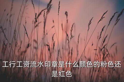 工資卡流水是什么樣子的，工行工資流水印章是什么顏色的粉色還是紅色
