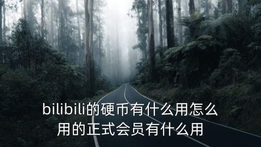 bilibili的硬幣有什么用怎么用的正式會(huì)員有什么用