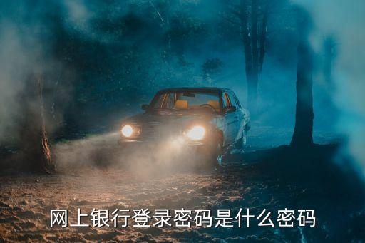 登陸網(wǎng)銀的密碼是什么，網(wǎng)上銀行登錄密碼是什么密碼