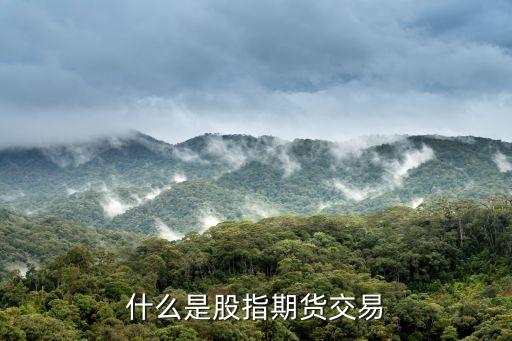 股指期貨 交易什么，什么是股指期貨交易