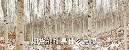 期貨掛單什么意思，期貨中的掛單是怎么回事