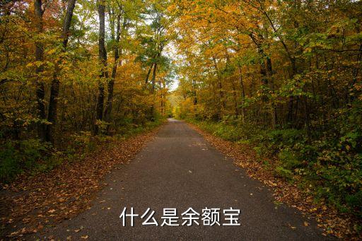 余額寶是什么系產(chǎn)品，什么是余額寶