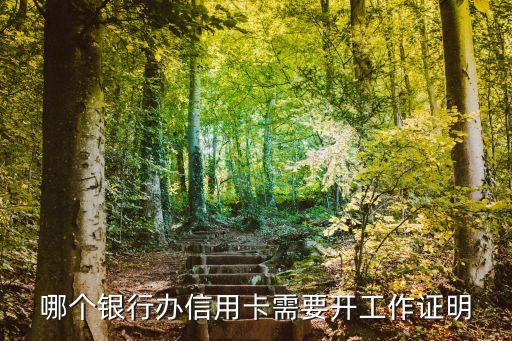 哪個(gè)銀行辦信用卡需要開工作證明