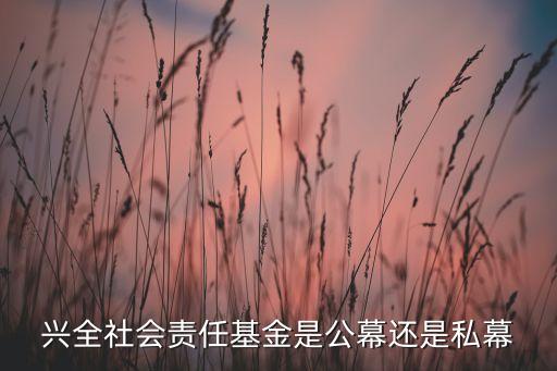 興全社會責(zé)任基金是公幕還是私幕