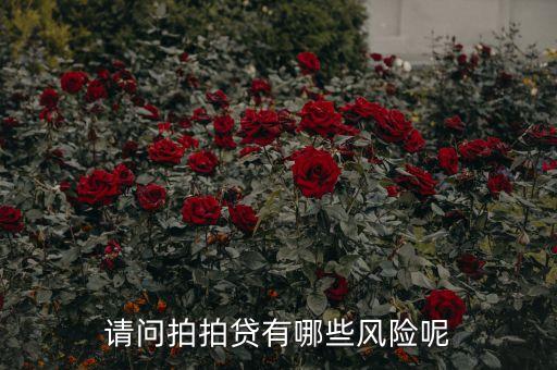 請問拍拍貸有哪些風(fēng)險呢