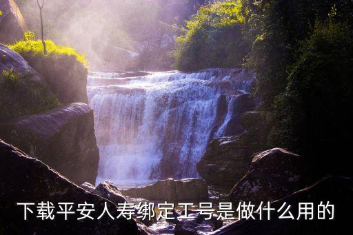 平安的工號(hào)能做什么，下載平安人壽綁定工號(hào)是做什么用的