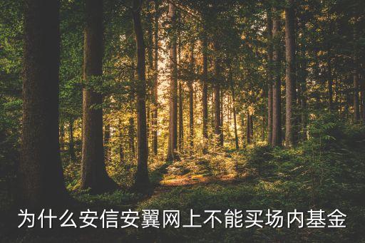 為什么買不了場內基金，場內貨幣基金買不了怎么回事