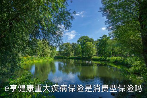 泰康e享是什么保險(xiǎn)公司，泰康e享健康重大疾病保險(xiǎn)怎么樣可以買嗎