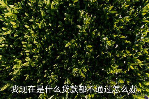 我現(xiàn)在是什么貸款都不通過(guò)怎么辦
