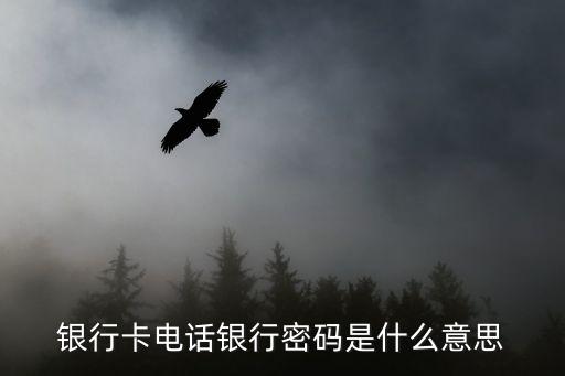 電話銀行密碼是什么，什么叫電話銀行密碼