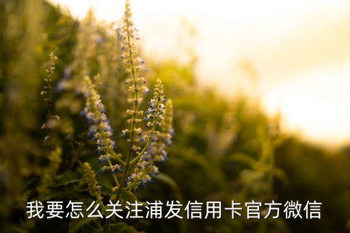 我要怎么關(guān)注浦發(fā)信用卡官方微信