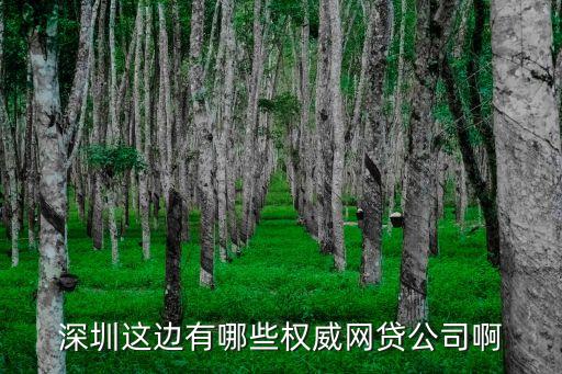 深圳前海小豬怎么樣，p2p理財公司信譽(yù)排名誰有這個排名的啊