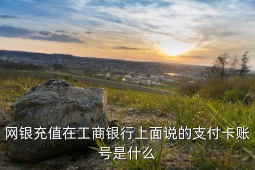 網(wǎng)銀充值在工商銀行上面說的支付卡賬號是什么