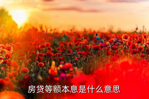 房貸本息是什么意思，房貸本息和本利怎么回事呀