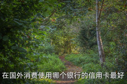 在國外消費使用哪個銀行的信用卡最好