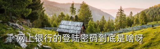 網(wǎng)上銀行的登陸密碼到底是啥呀