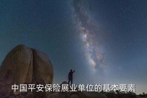 中國平安保險展業(yè)單位的基本要素