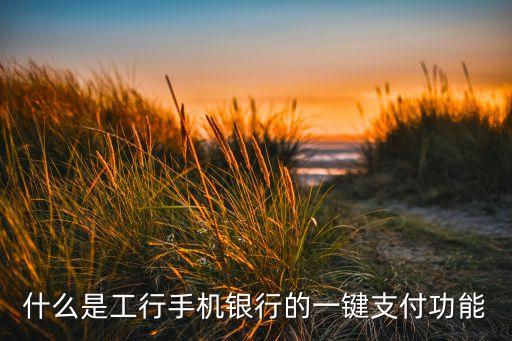什么是工行手機(jī)銀行的一鍵支付功能