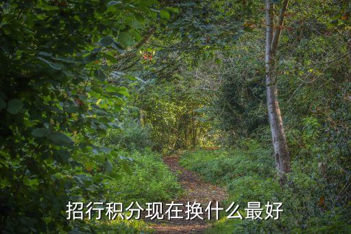 招行車卡積分換什么用，招商銀行汽車信用卡積分怎么用啊