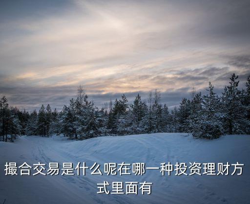 什么叫撮合制，撮合制什么意思