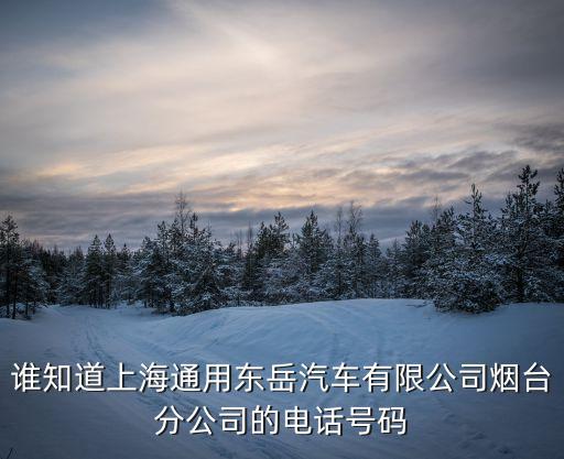 696打頭的是什么電話，滄州小靈通號(hào)碼是什么數(shù)字開頭前3位
