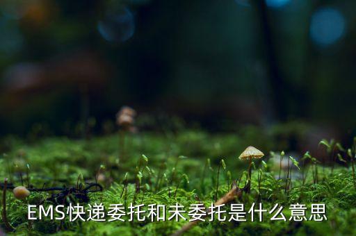 委托投遞什么意思，EMS快遞委托和未委托是什么意思