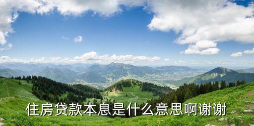 住房貸款本息是什么意思啊謝謝