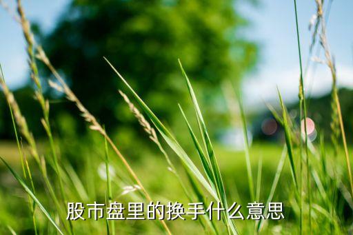 股票 換手 什么意思，股市盤(pán)里的換手什么意思