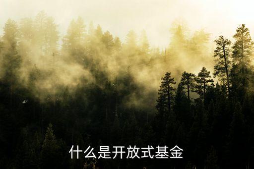 什么叫開(kāi)放式基金，開(kāi)放式基金的概念是什么
