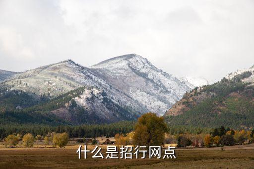招商銀行的網(wǎng)點(diǎn)是什么原因，招行網(wǎng)點(diǎn)是怎么