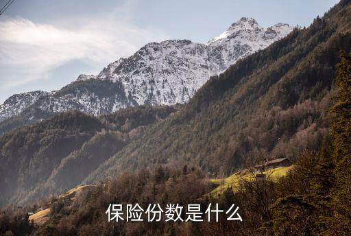 保險(xiǎn)份數(shù)是什么