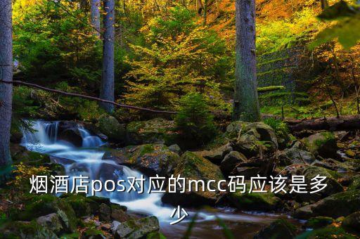 煙酒店pos對(duì)應(yīng)的mcc碼應(yīng)該是多少
