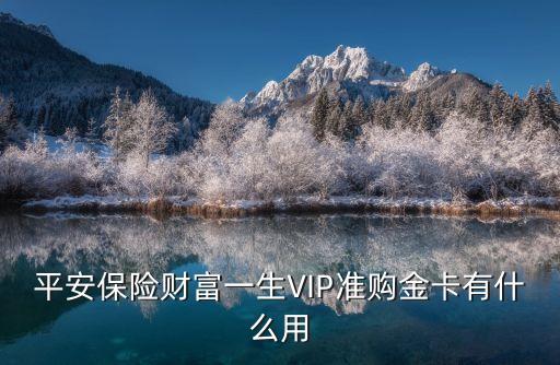 平安保險金卡有什么用，平安保險員工為啥要辦金卡而且還要530元