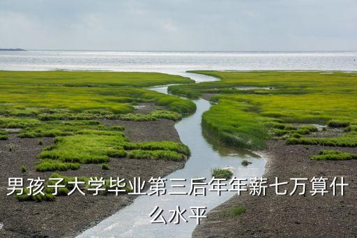 男孩子大學畢業(yè)第三后年年薪七萬算什么水平