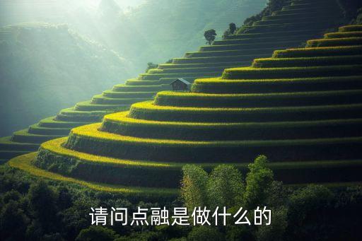 請問點融是做什么的