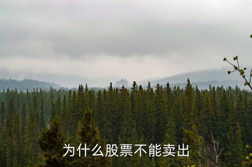 為什么股票不能賣出