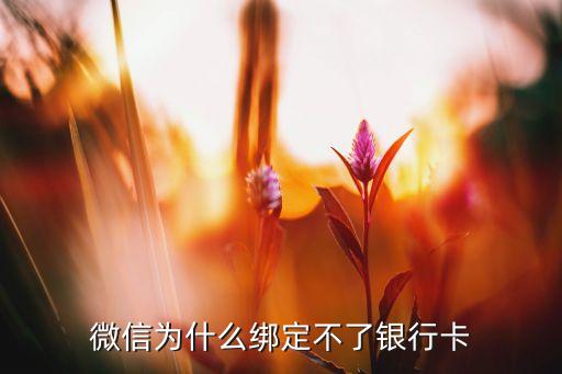 微信為什么綁定不了銀行卡