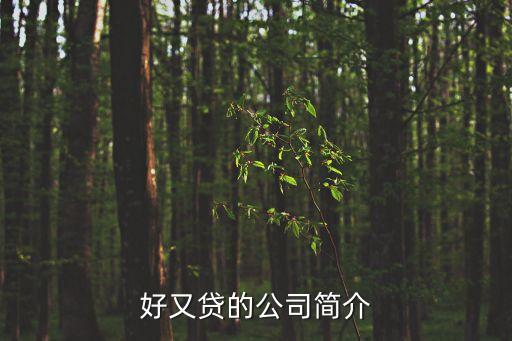 好又貸的公司簡(jiǎn)介