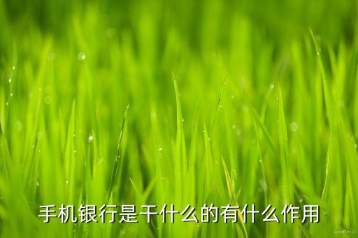 手機(jī)銀行是干什么的有什么作用