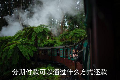 分期付款可以通過什么方式還款