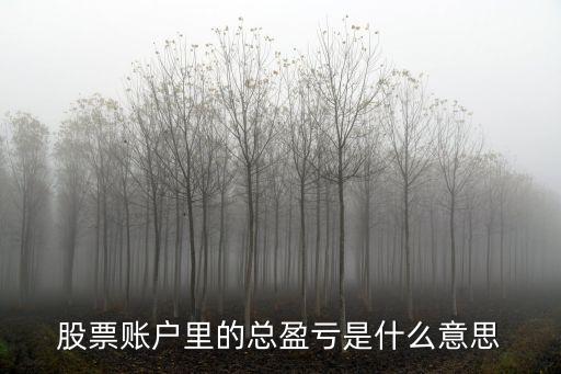 什么是總盈虧，總盈虧是什么意思